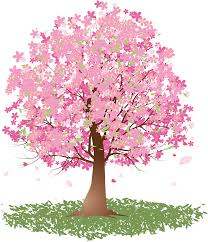 桜の木